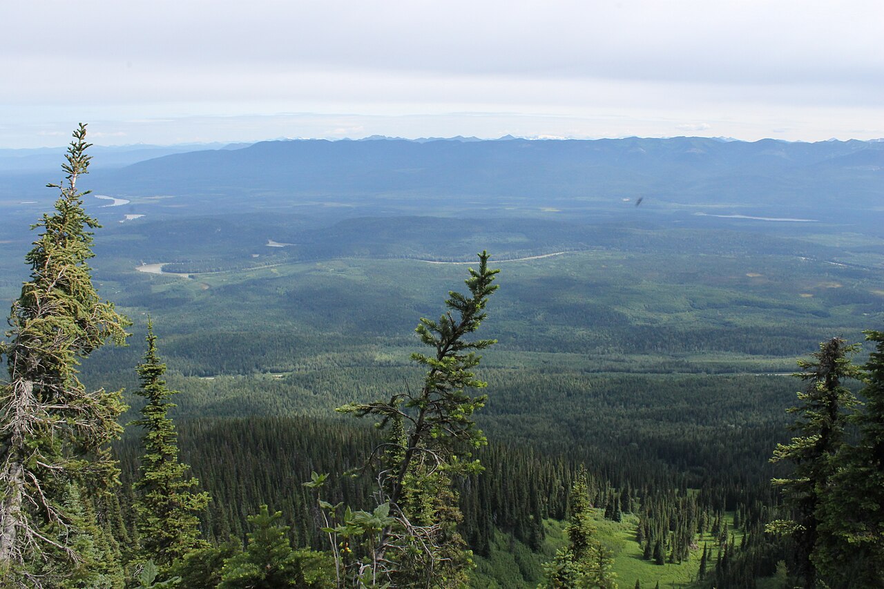 Fraser valley from the summit of Sugarbowl Mountain, July 2015