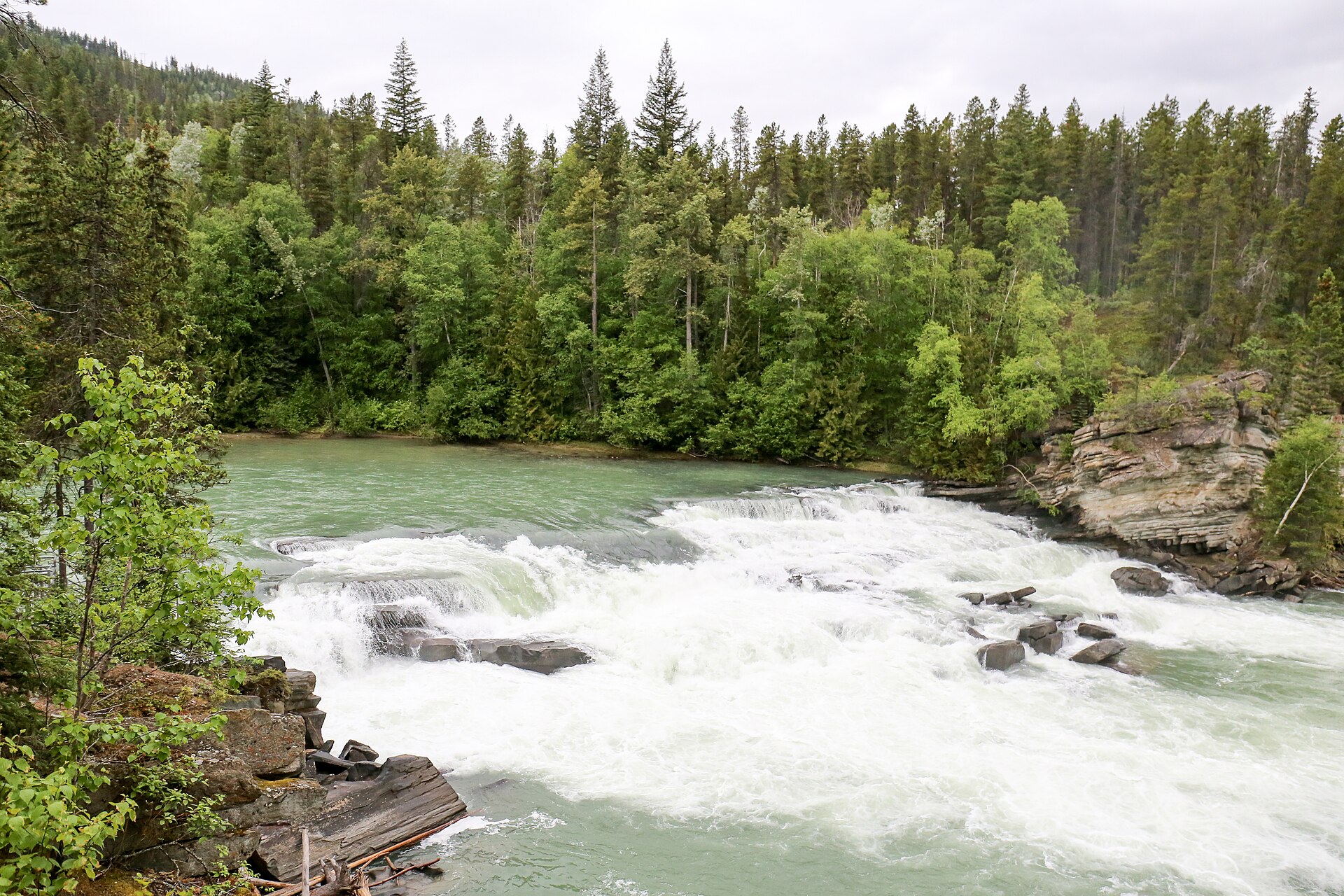 Rearguard Falls and the opposite forested bank, June 2019