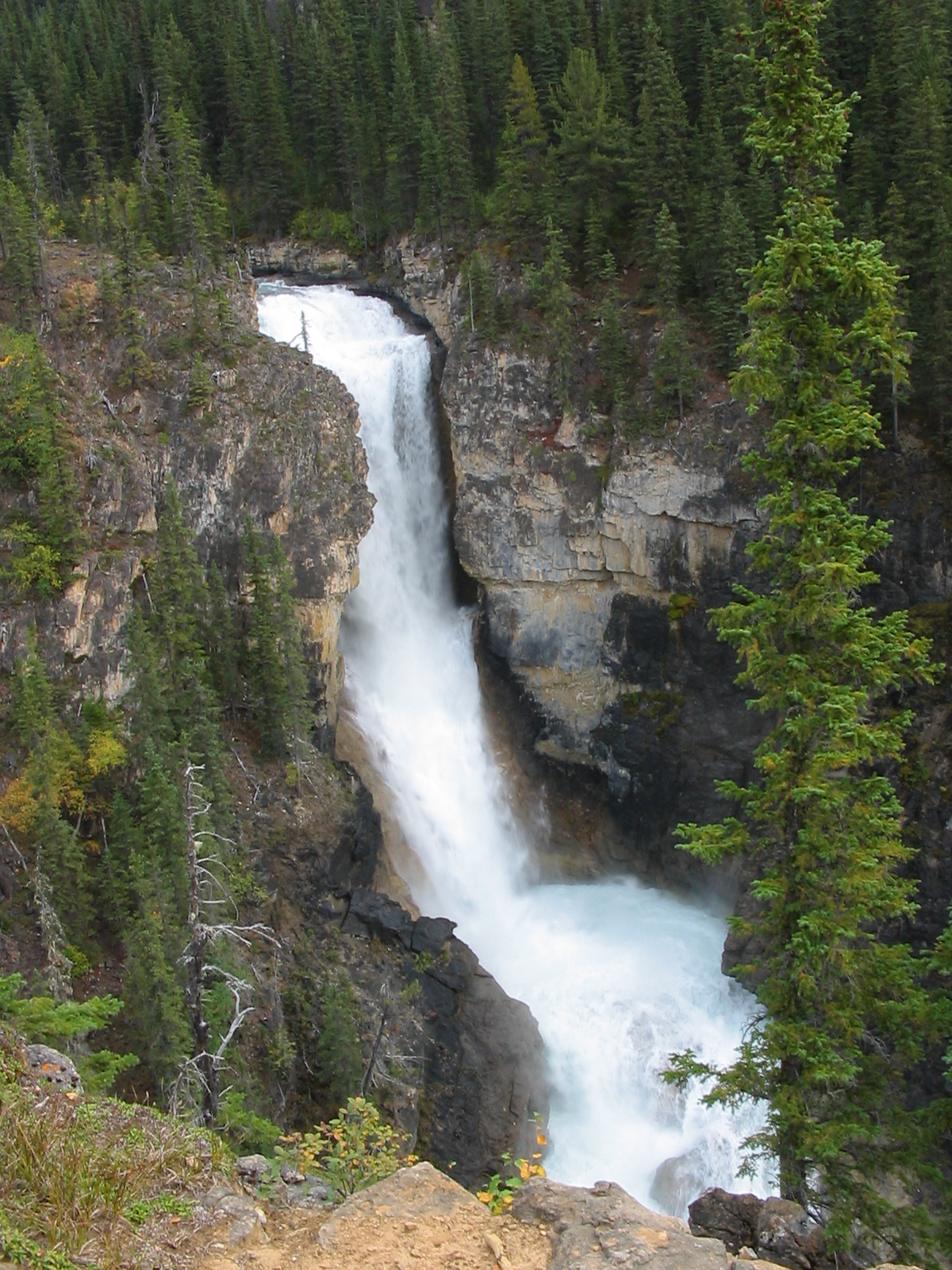 Falls of the Pool on the Robson River