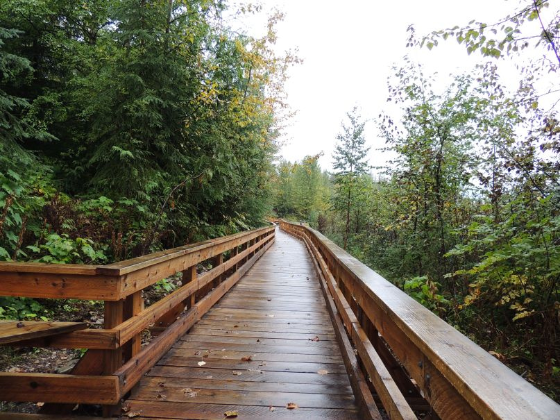 Long boardwalk section through Ancient Forest / Chun T’oh Whudujut