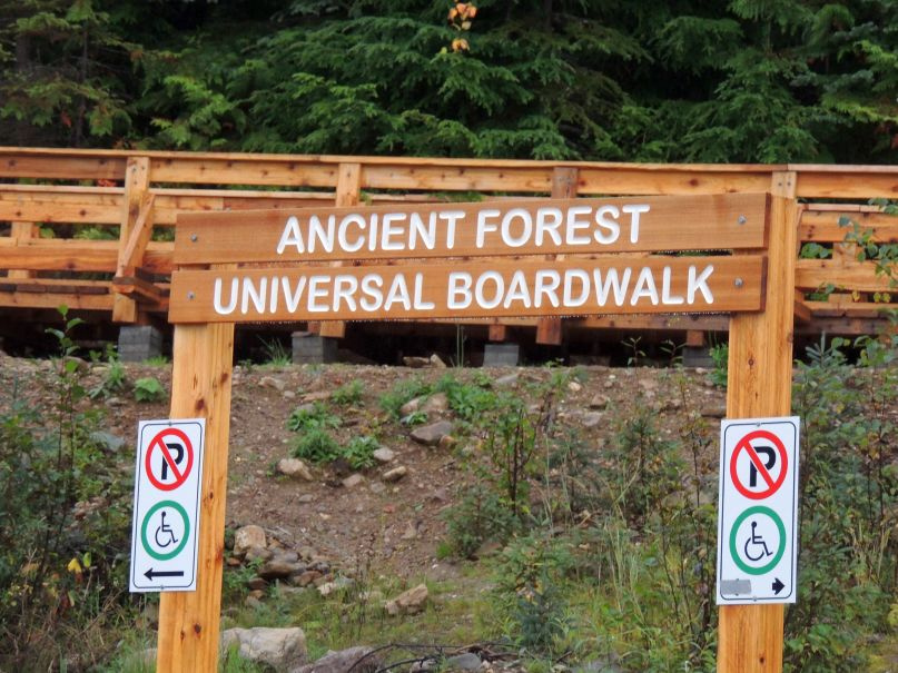 Entrance sign for the Ancient Forest universal boardwalk