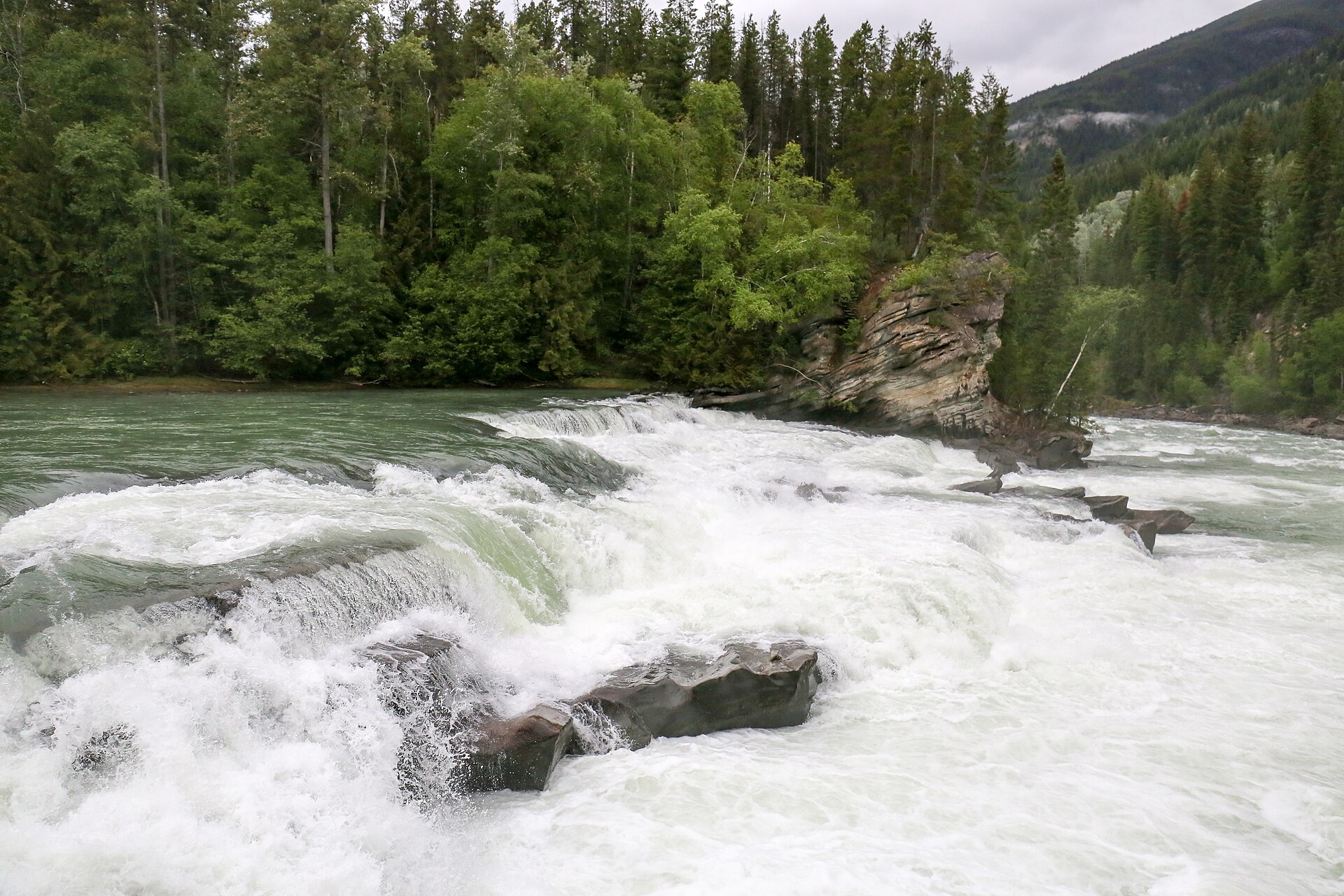 Whitewater over the broad rocky steps at Rearguard Falls, June 2019