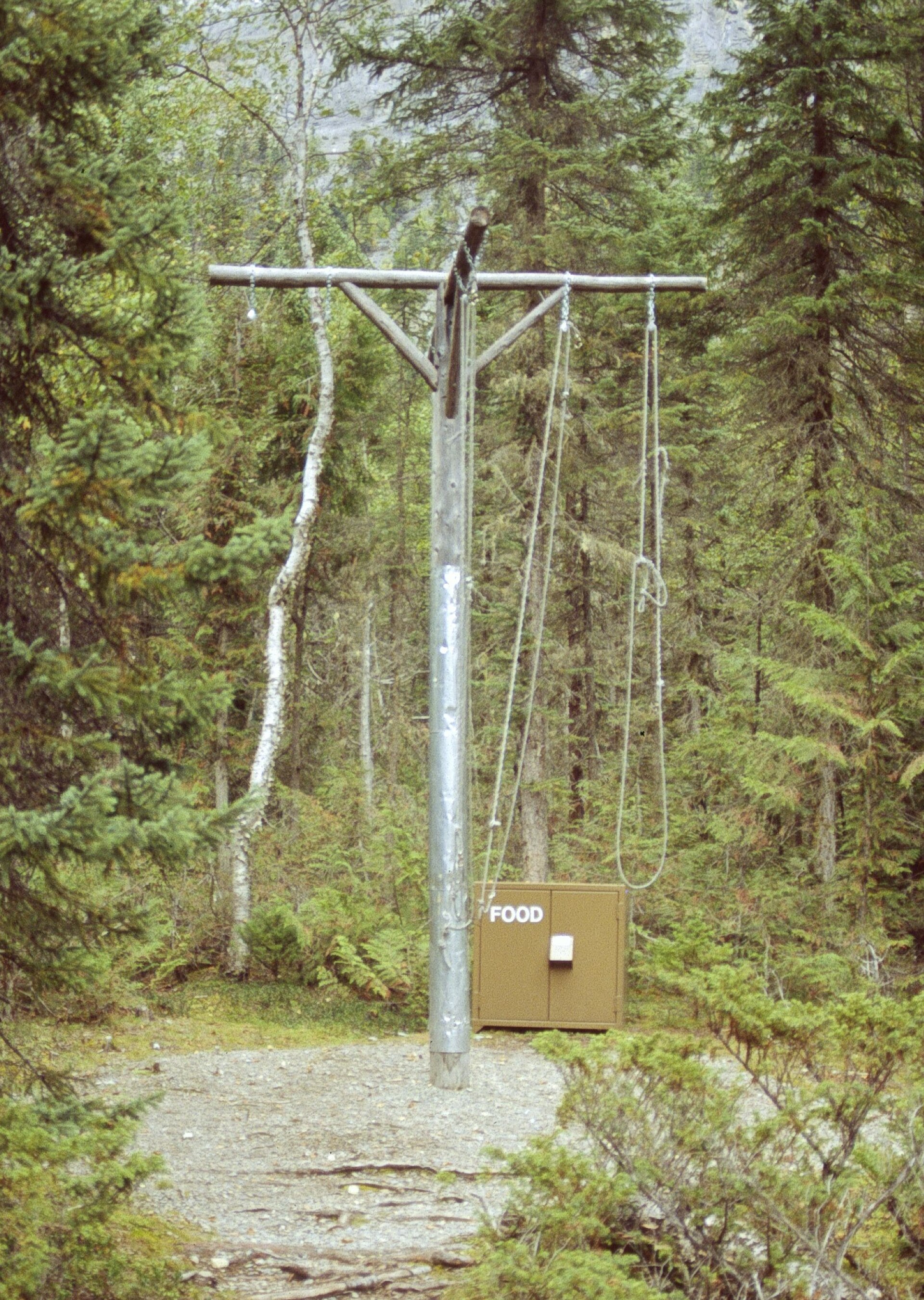 Food-storage pole