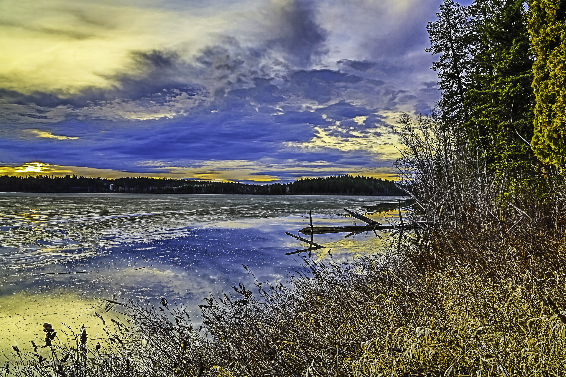 Spring shore at Ten Mile Lake — HDR-processed photograph