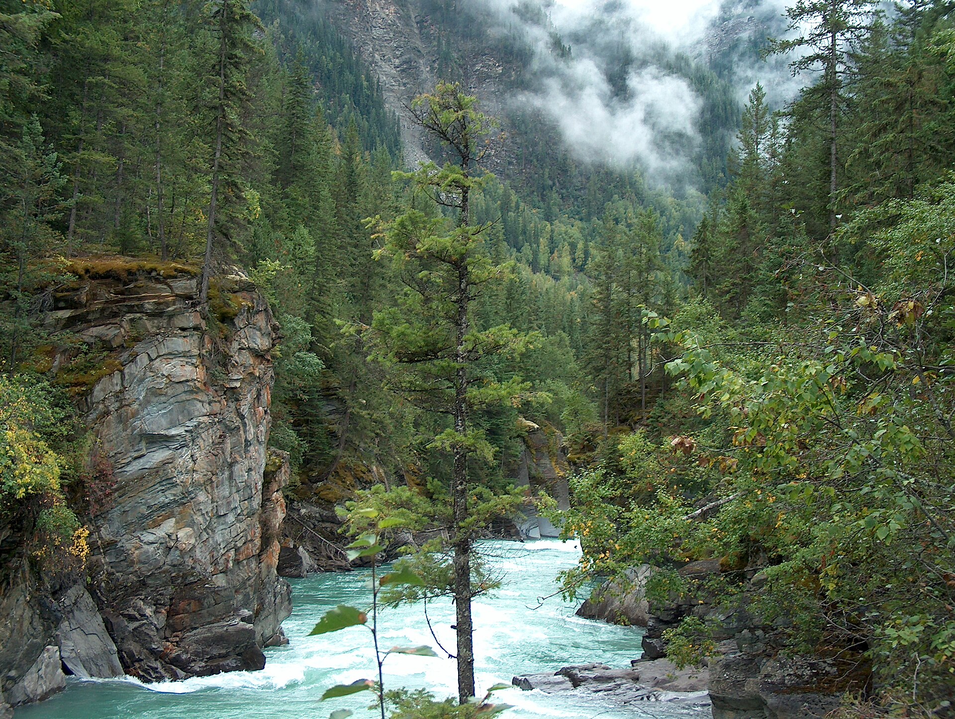 Fraser River gorge at Overlander Falls, beneath forested slopes