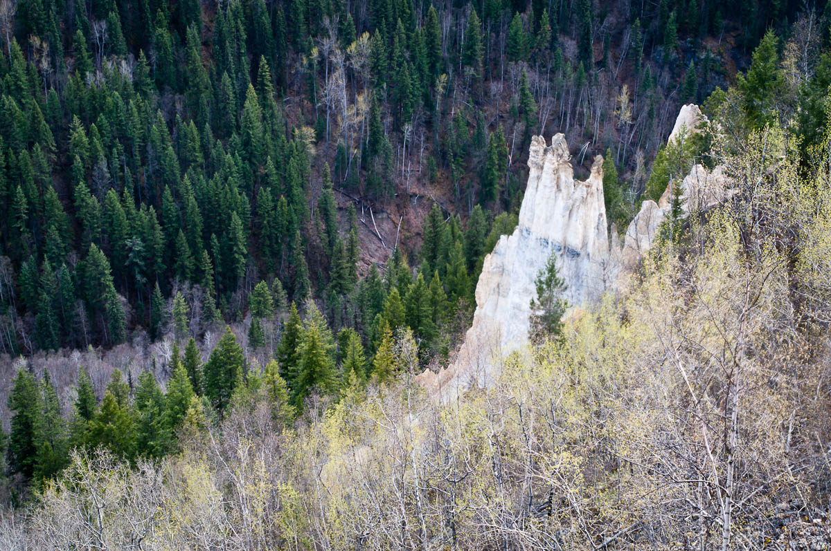 Eroded rock pinnacles in Pinnacles Provincial Park