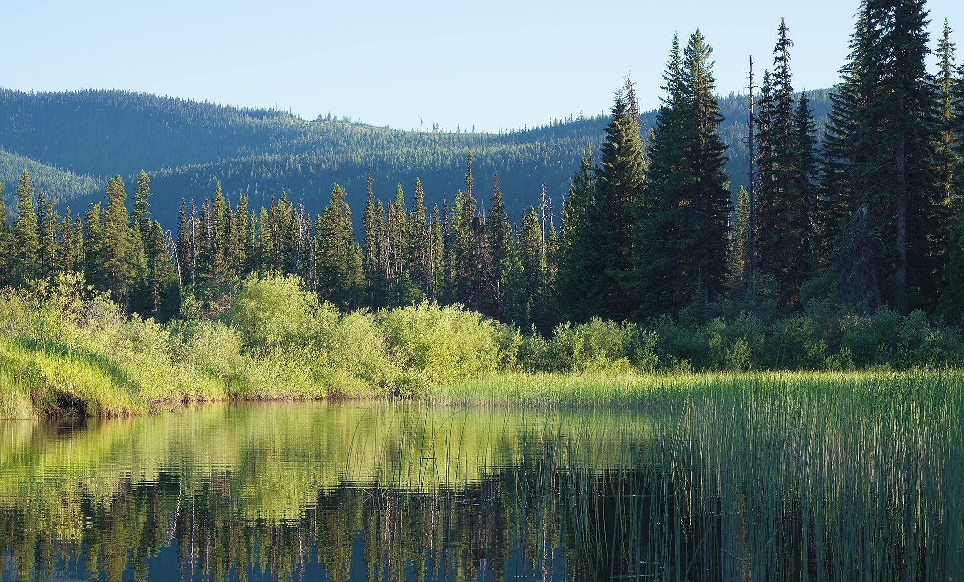 Babcock Creek in Bowron Lake Provincial Park