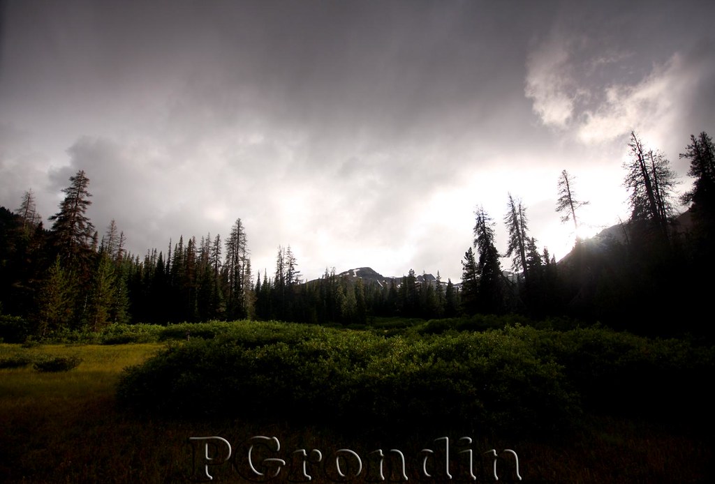 Trees and mountain meadow under clouds on the Grease Trail near Bella Coola