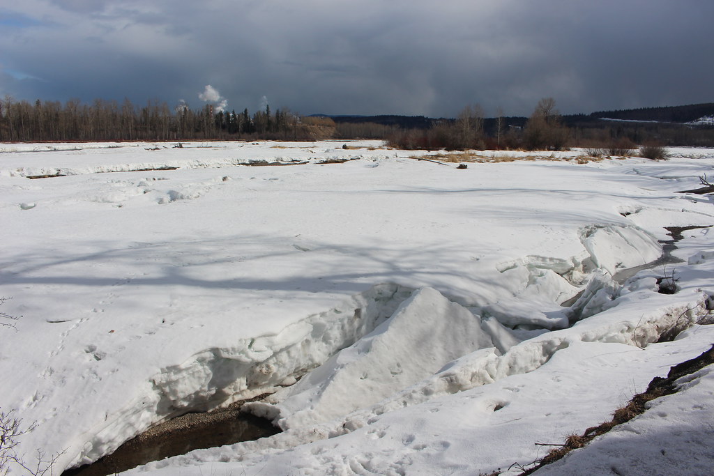 Snow-covered river ice beside Cottonwood Island Nature Park