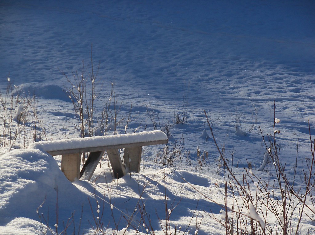 A wooden bench partly buried in snow beside Moore’s Meadow