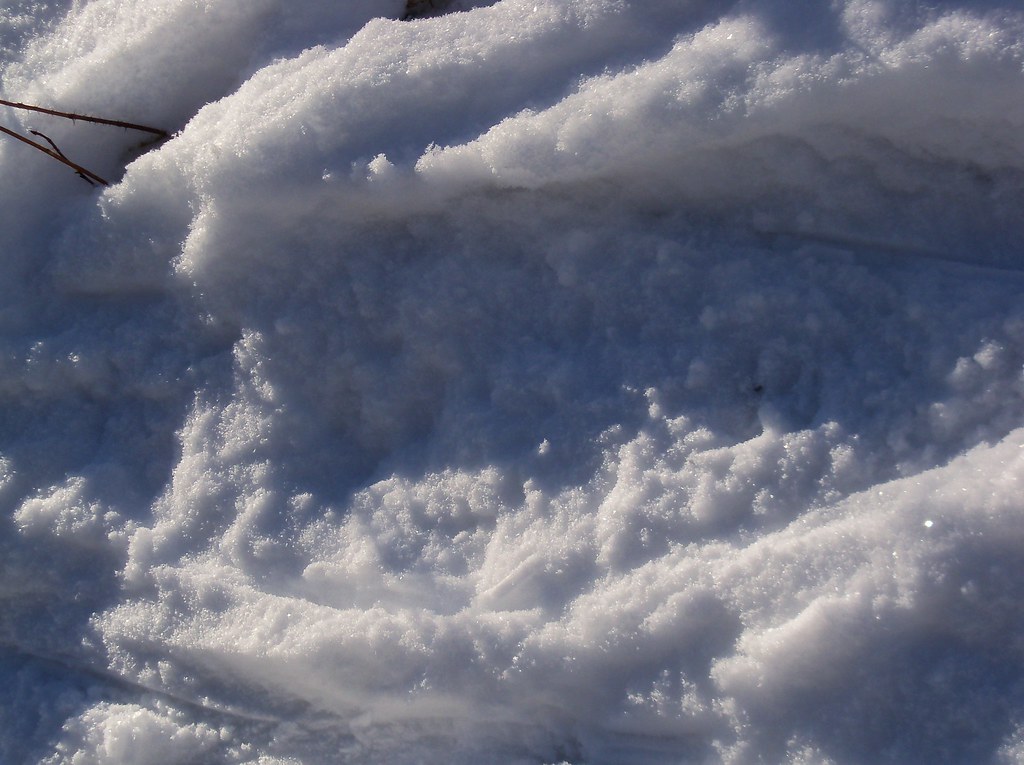 Sunlit grains and shallow depressions on a snow surface