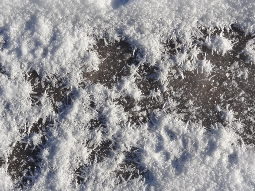 Clusters of slender white frost crystals on a dark surface at Haldi Lake