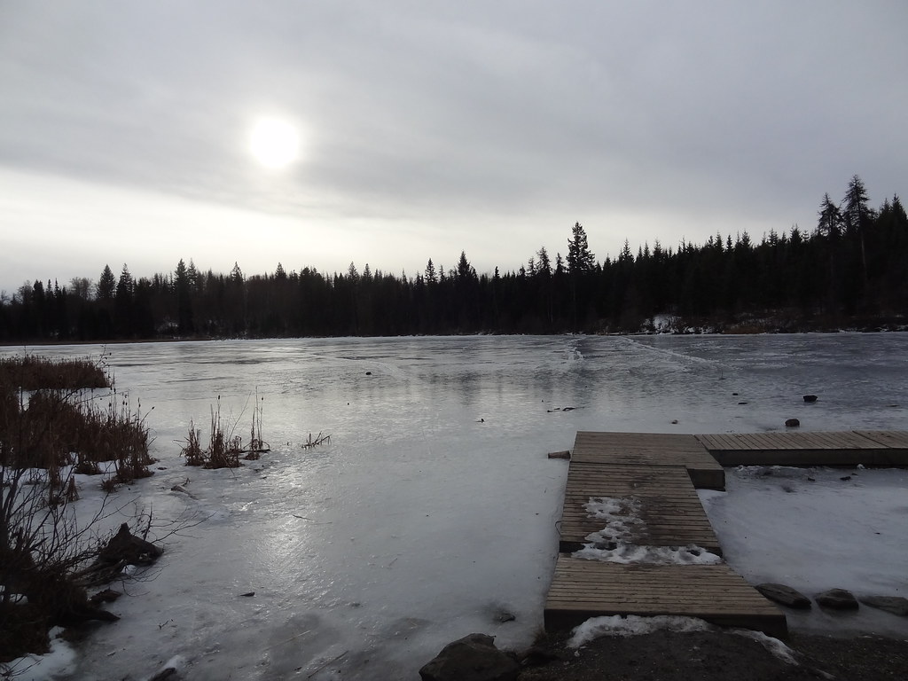 A snowy lakeside dock and ice on Shane Lake beneath a pale winter sky