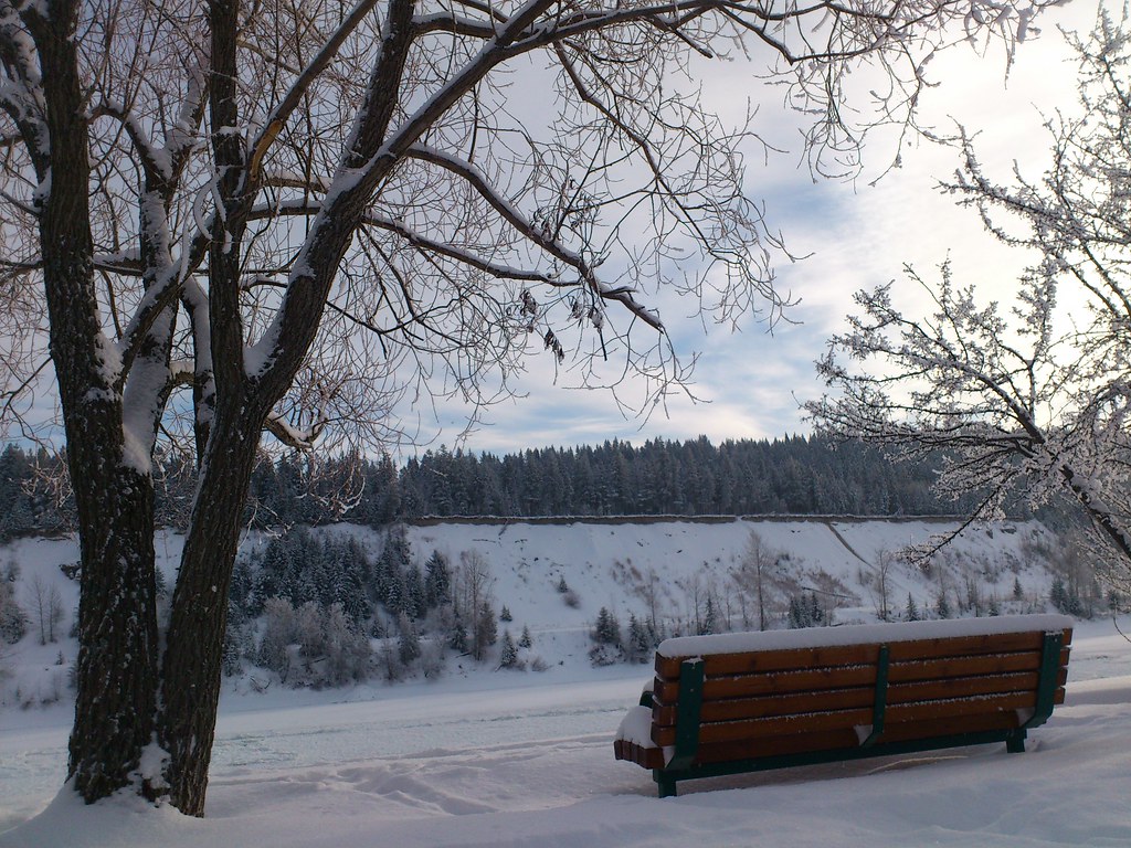 Empty park bench beside frosty trees and the Fraser River in winter