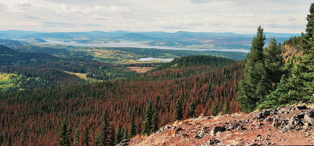 Fraser Lake from Fraser Mountain