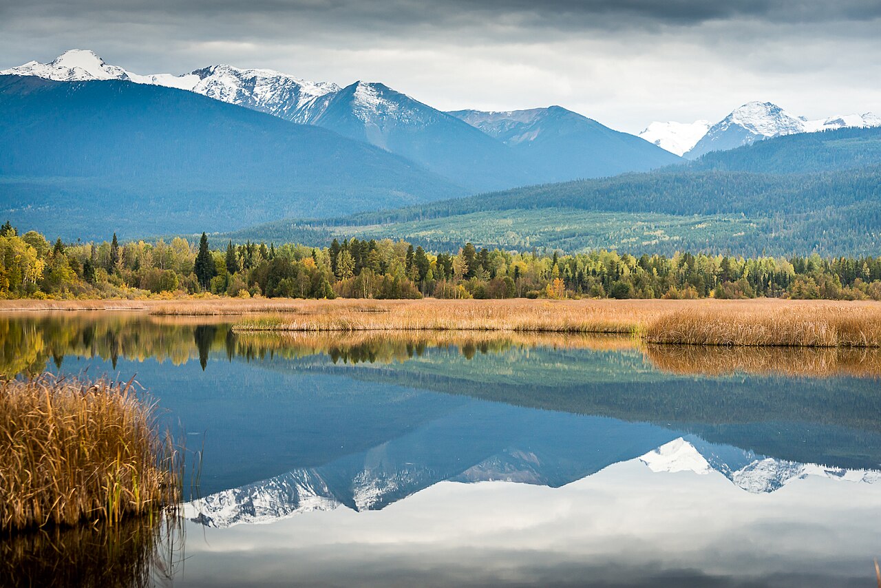 Cranberry Marsh in the Starratt Wildlife Management Area at Valemount