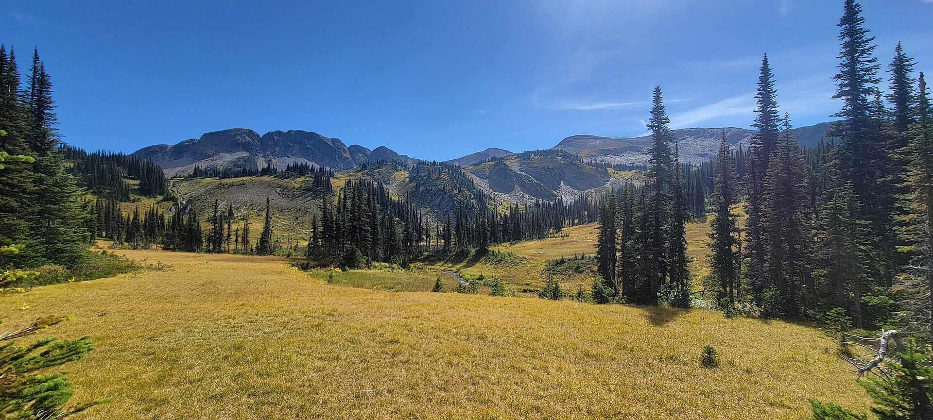 Subalpine meadow on the Fang trail in Evanoff Provincial Park