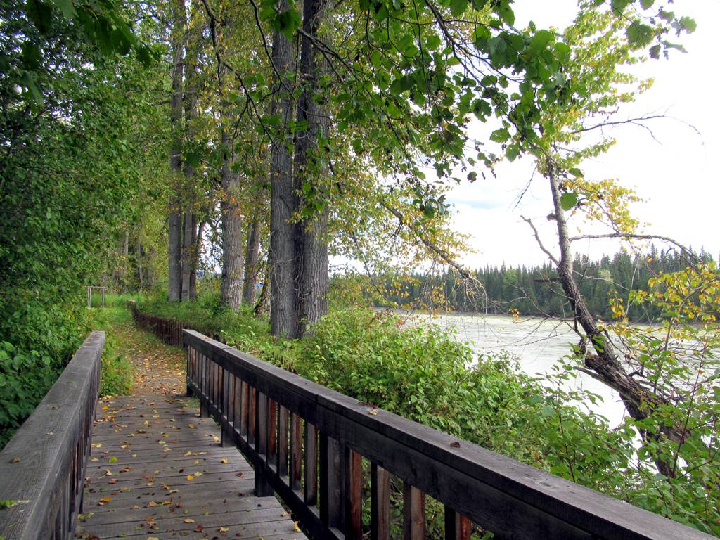 A riverside boardwalk beneath cottonwoods at Huble Homestead