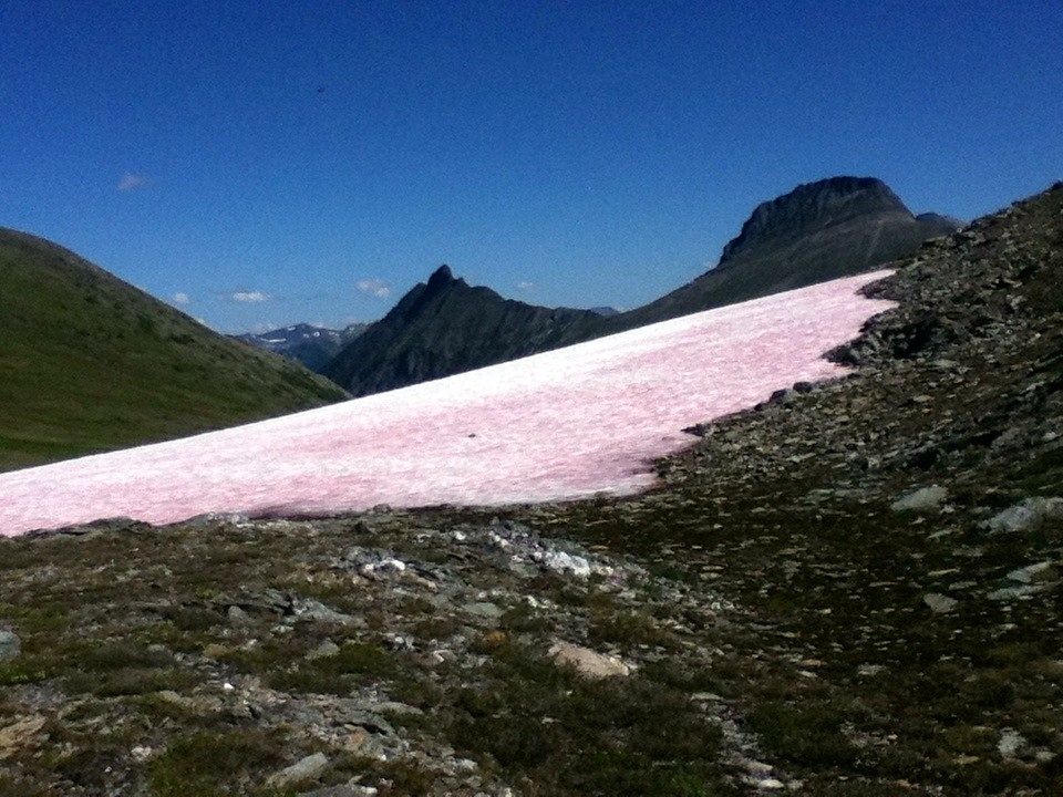 A lingering summer snowfield on McBride Peak