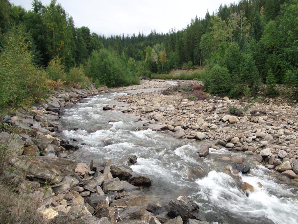 Swift Creek at Valemount