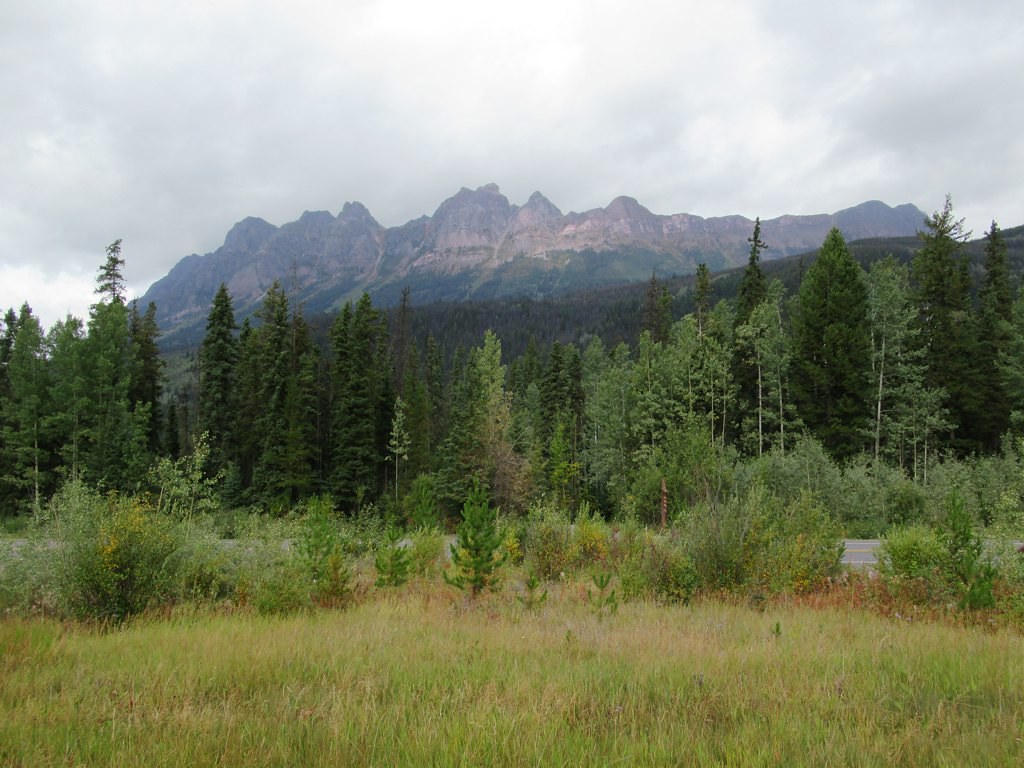 Yellowhead Mountain above the valley forest