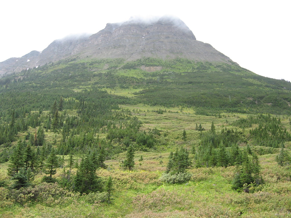 Tête Roche above the upper Yellowhead trail area