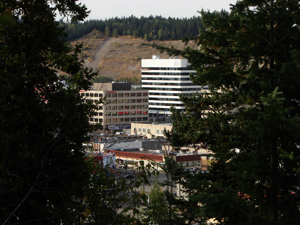 Downtown Prince George viewed through the trees from Connaught Hill Park