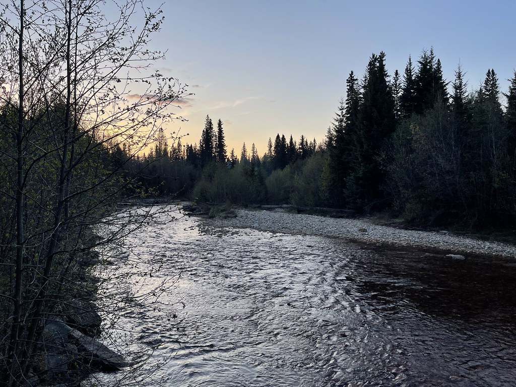 Swift Creek at George Hicks Regional Park in Valemount