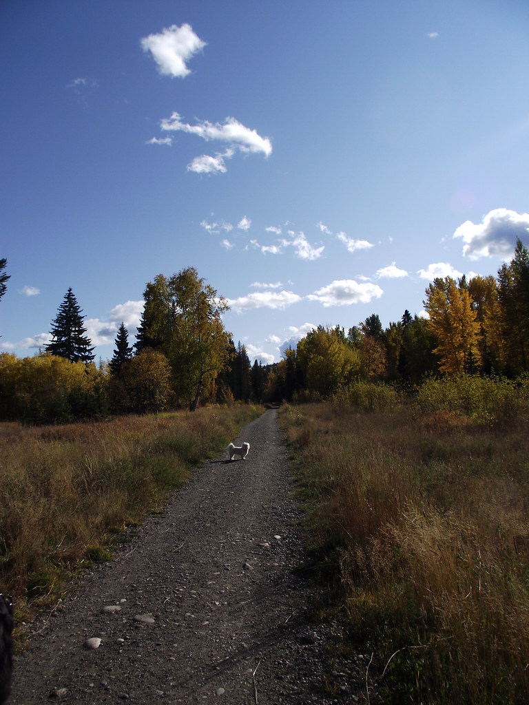 A meadow path at Ginter’s