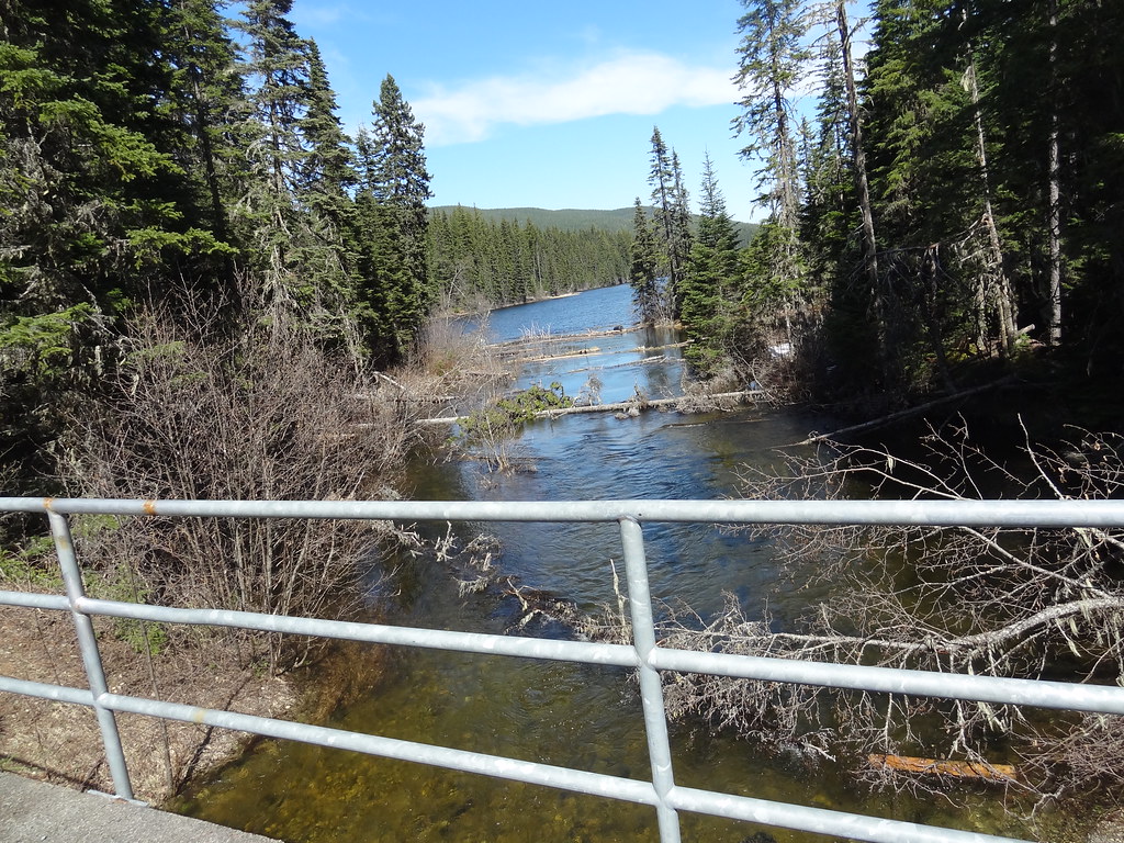 A bridge across a creek beside Purden Lake