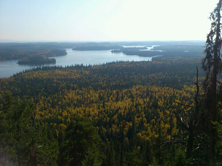 Lake and forest views from Teapot Mountain