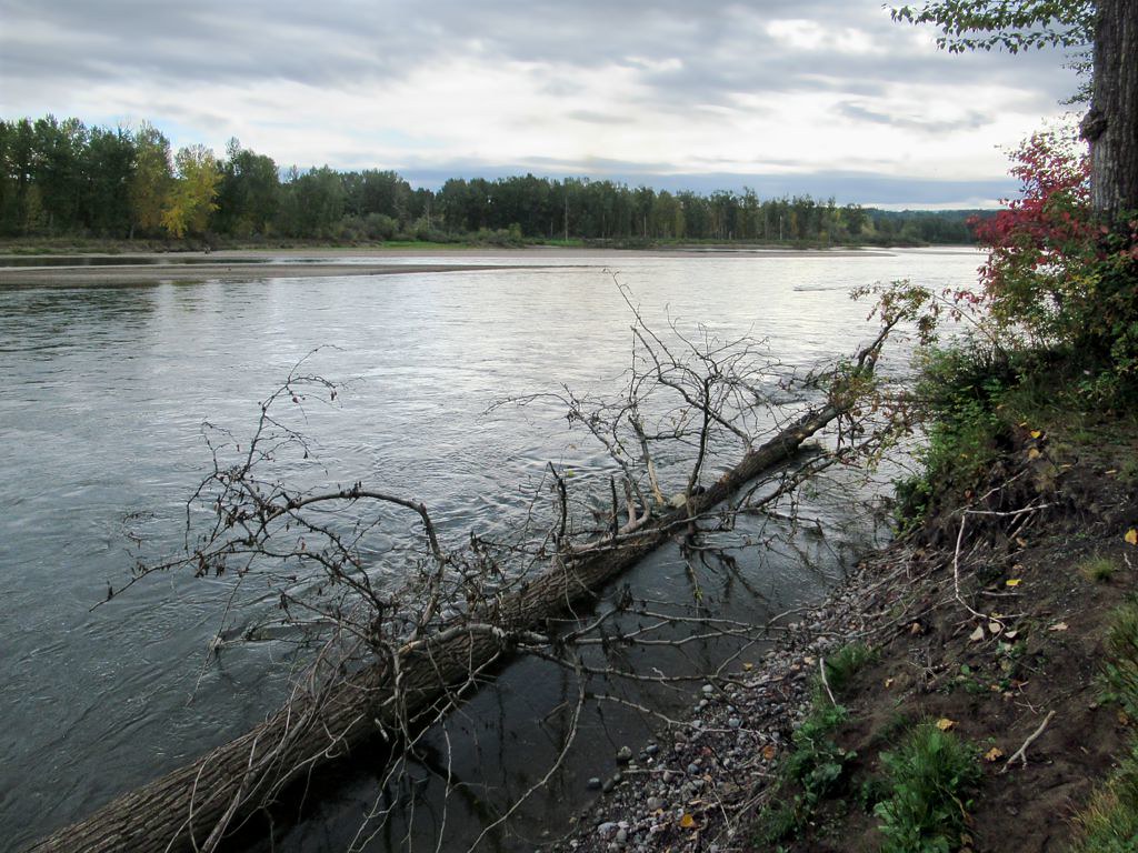 The Fraser River at the historic Big Bend near Huble Homestead and Giscome Portage