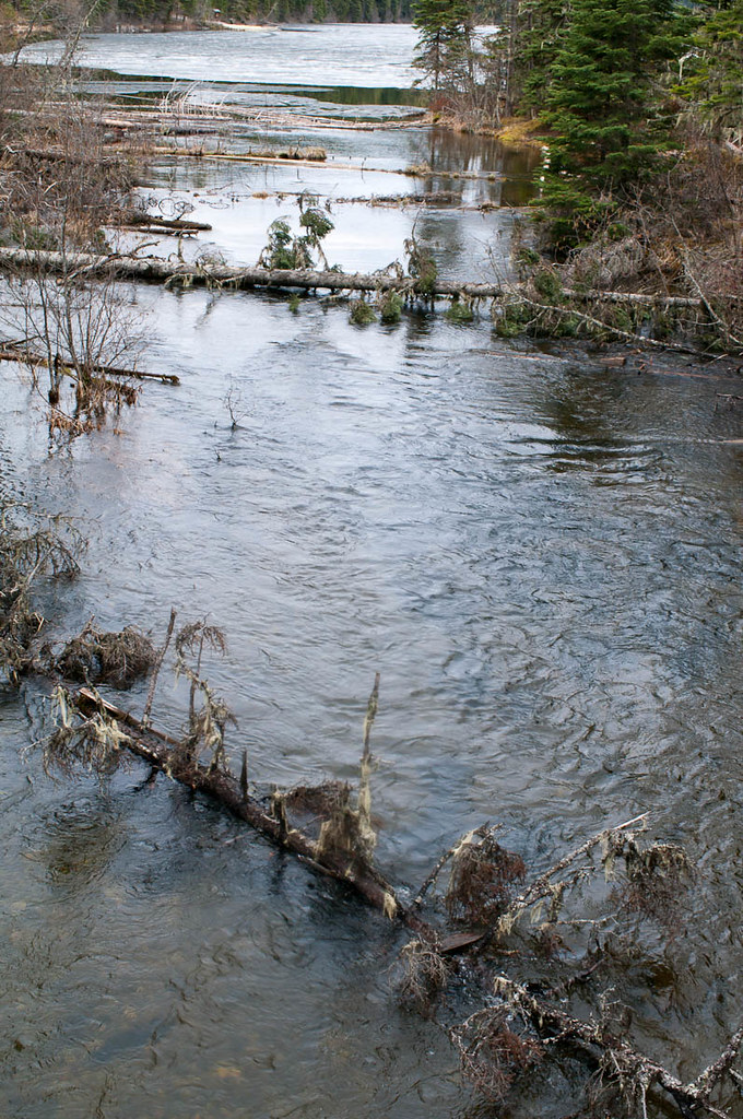 Spring water and lingering lake ice at Purden Lake Provincial Park