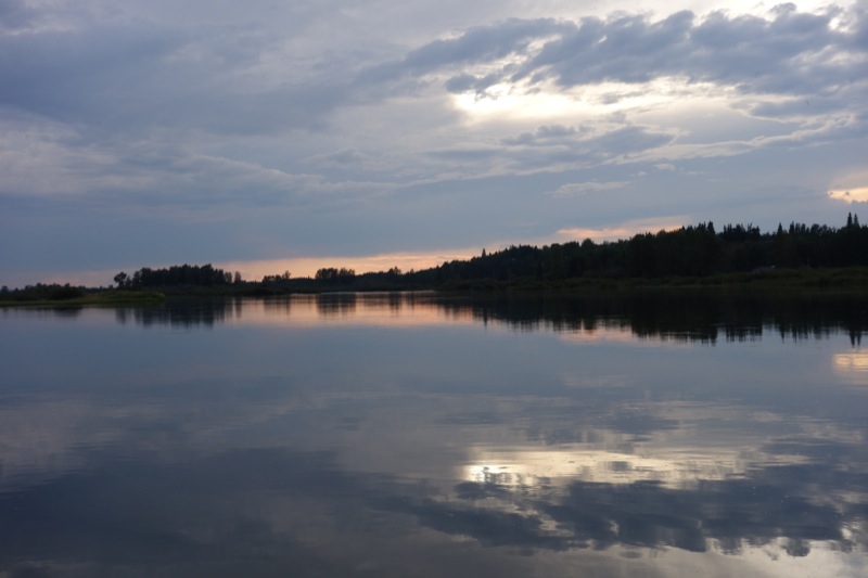 The Nechako River Bird Sanctuary at Riverside Park in Vanderhoof