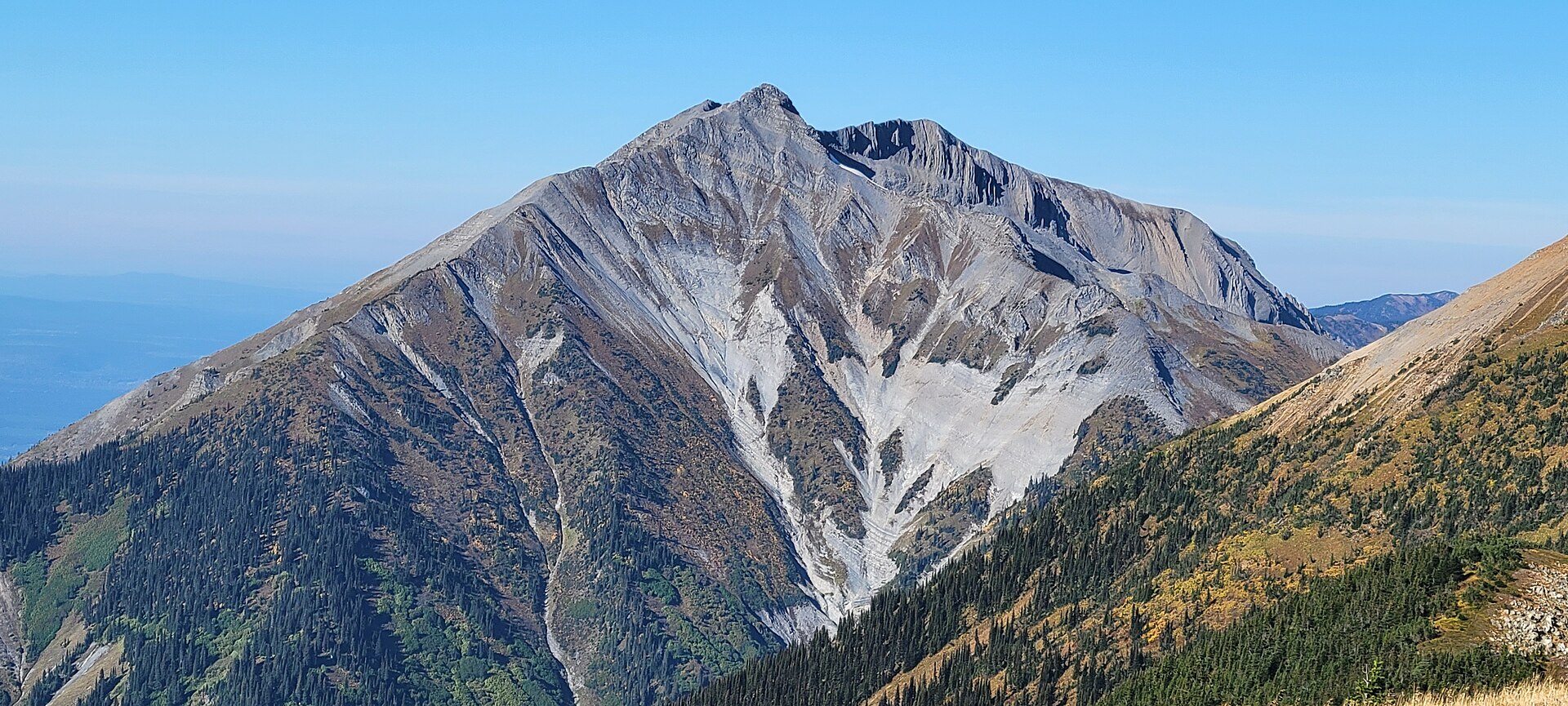 Rocky summit and forested slopes of Longworth Peak, also called Baldy Mountain