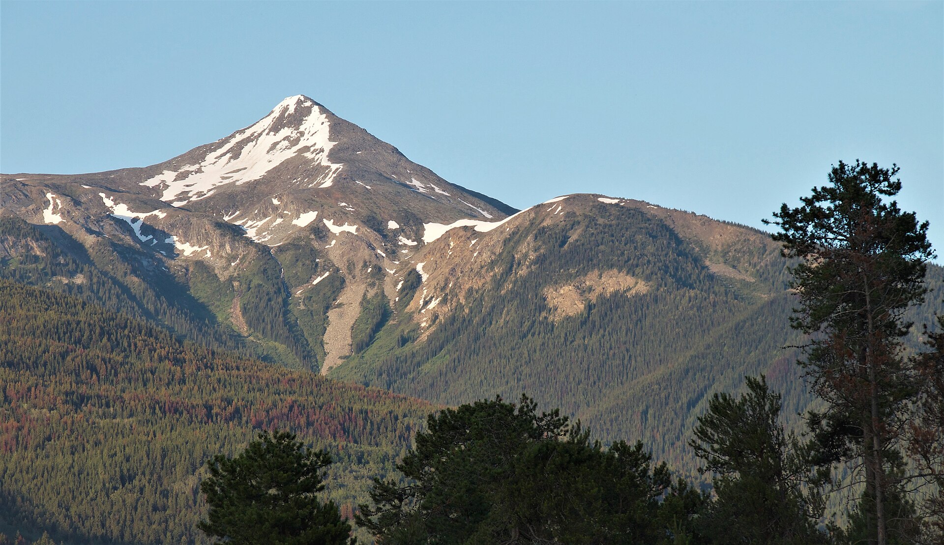 Mount McKirdy above the forested slopes east of Valemount