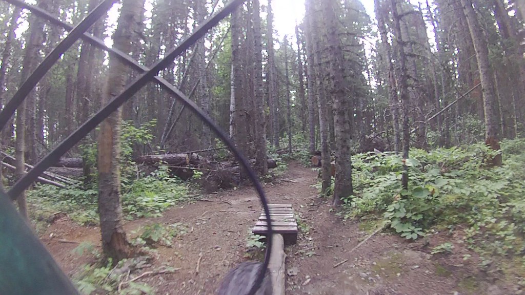 Forest trail and wooden riding feature at Pidherny, viewed behind bicycle equipment